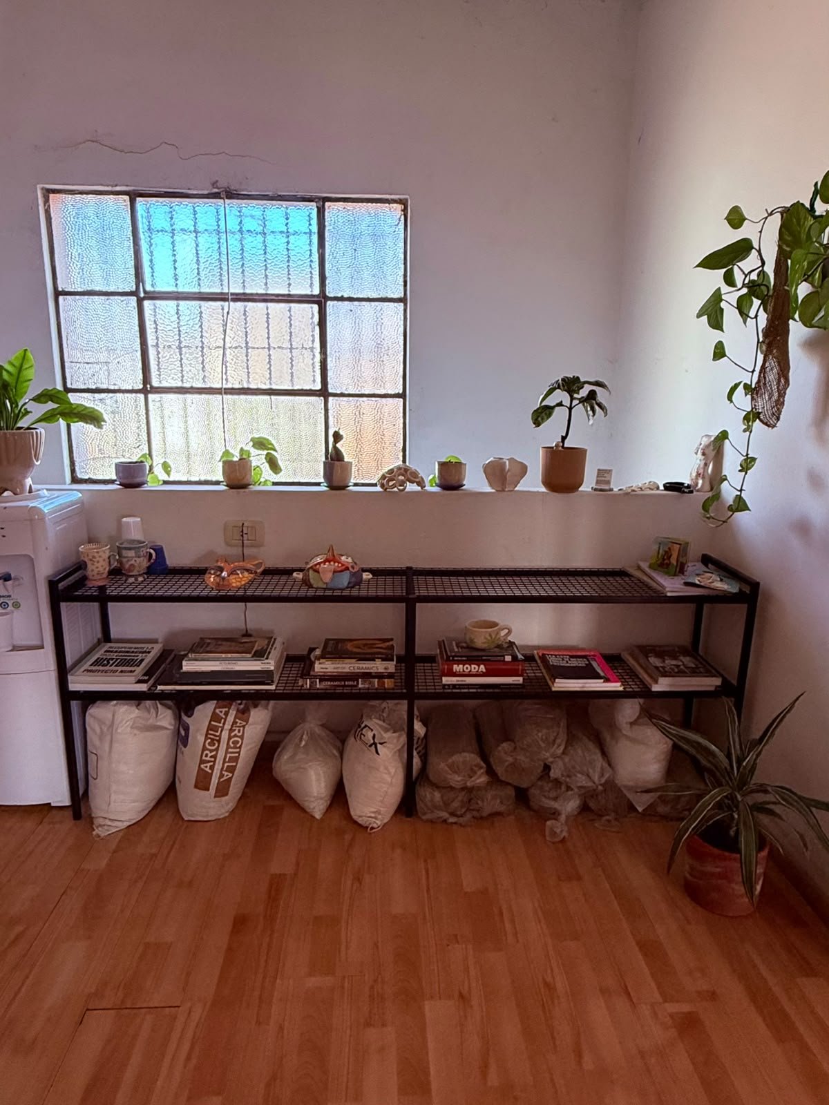 Estantería de hierro con libros, cerámica y plantas en un espacio del galpón